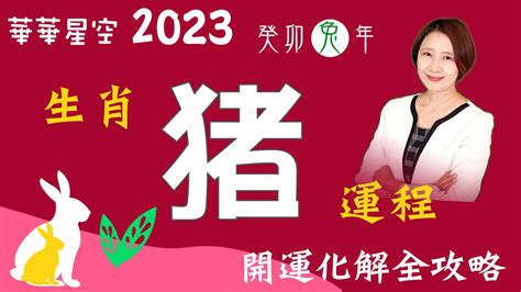 屬豬 2023|【2023年屬豬】2023年屬豬運勢指南：升官發財與流年不順一次。